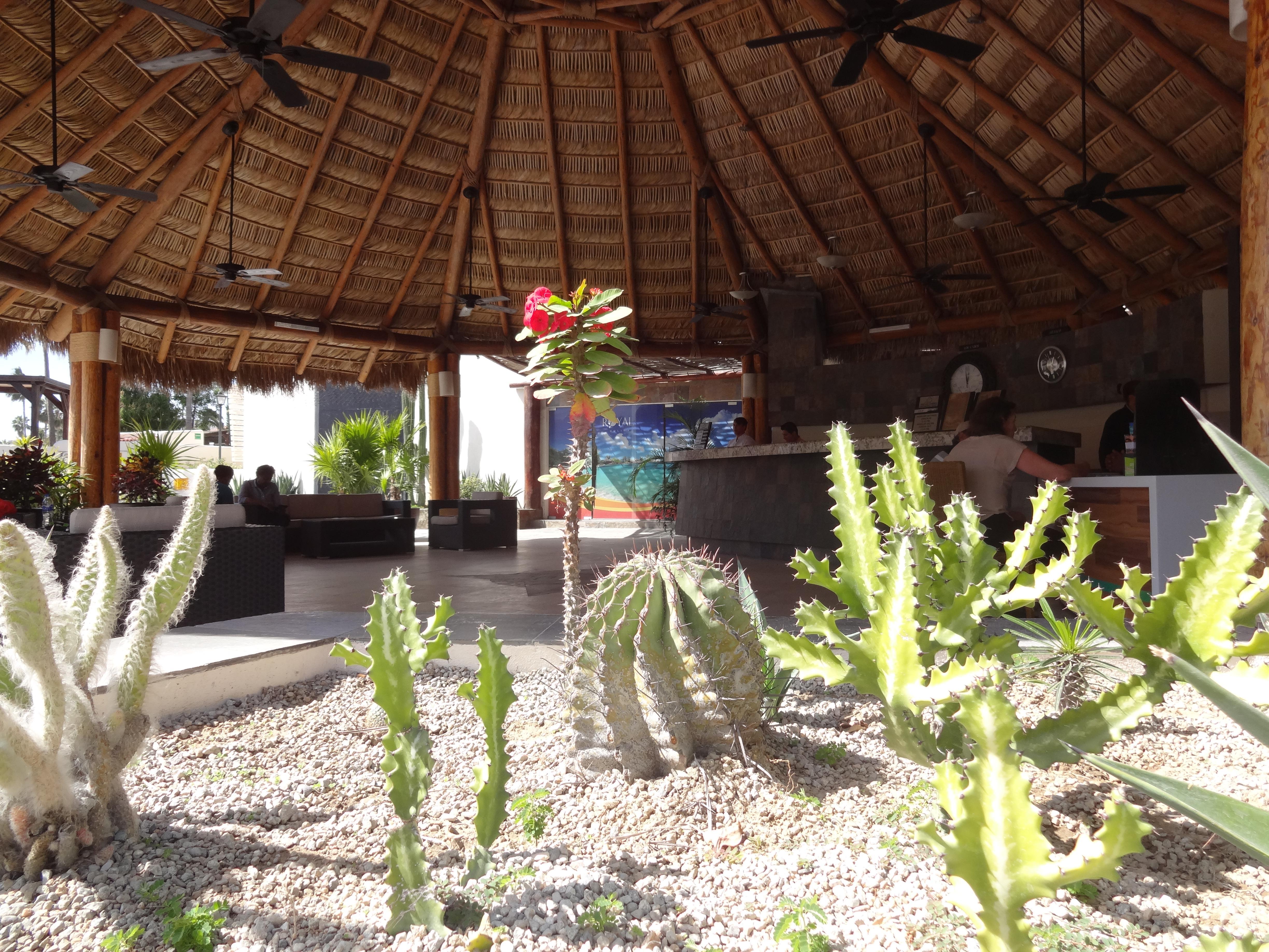 Park Royal Homestay Los Cabos San José del Cabo Kültér fotó